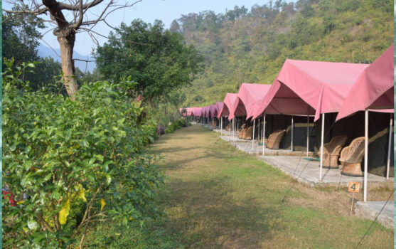 Majestic Luxury Camp Rishikesh