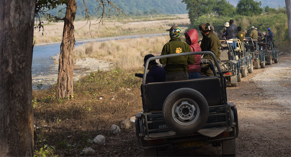 Corbett National Park