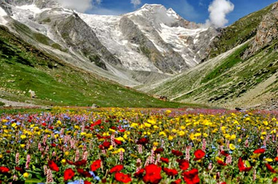 valley of flowers uttarakhand best time to visit