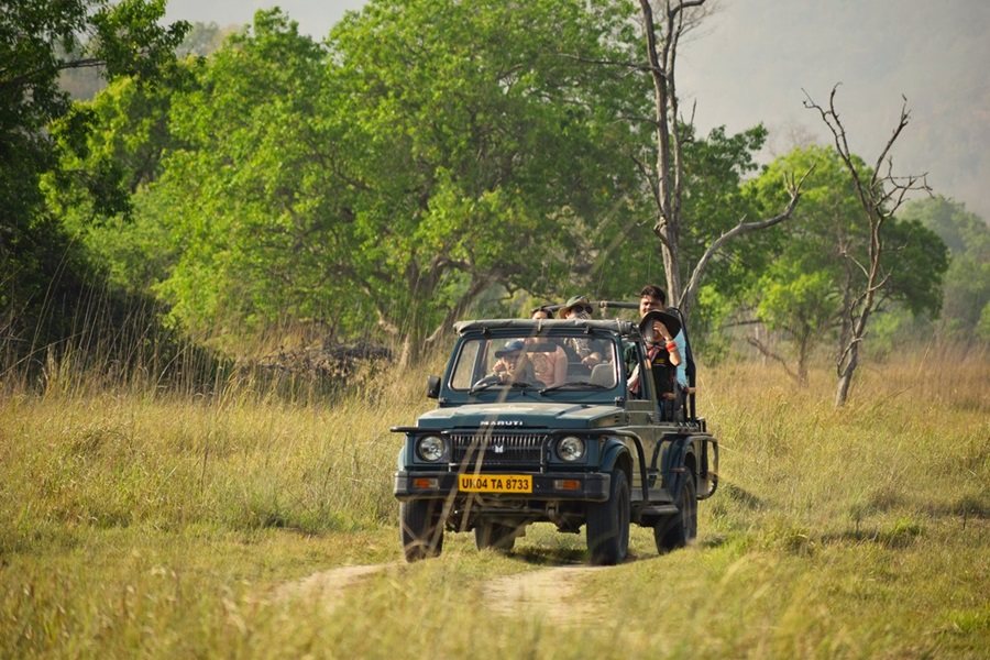Jeep Safari Image