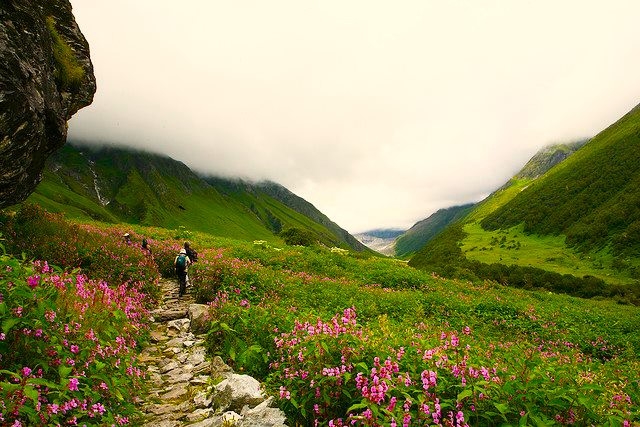 Valley of Flowers Trek Uttarakhand