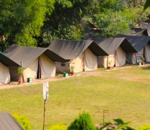 Adventure Paradise Camp Shivpuri
