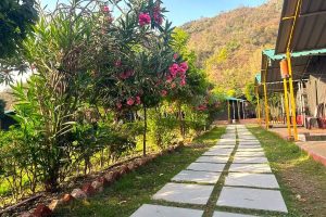Best Timing For Camping in Rishikesh