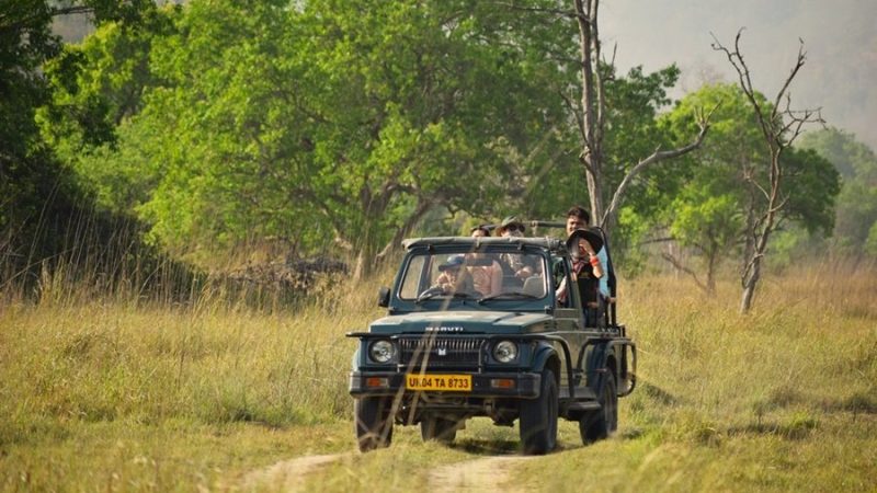 Jeep Safari Image