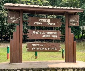Rajaji National Park Uttarakhand