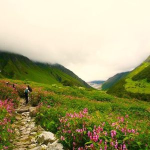 Valley of Flowers Trek Uttarakhand